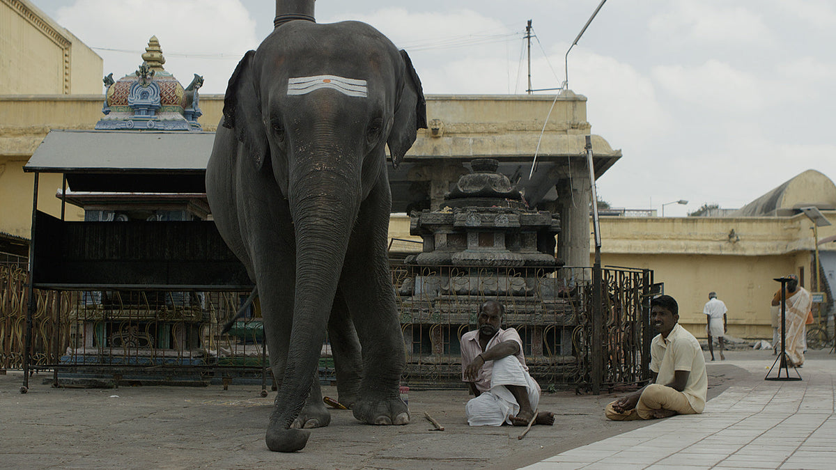 India Chennai