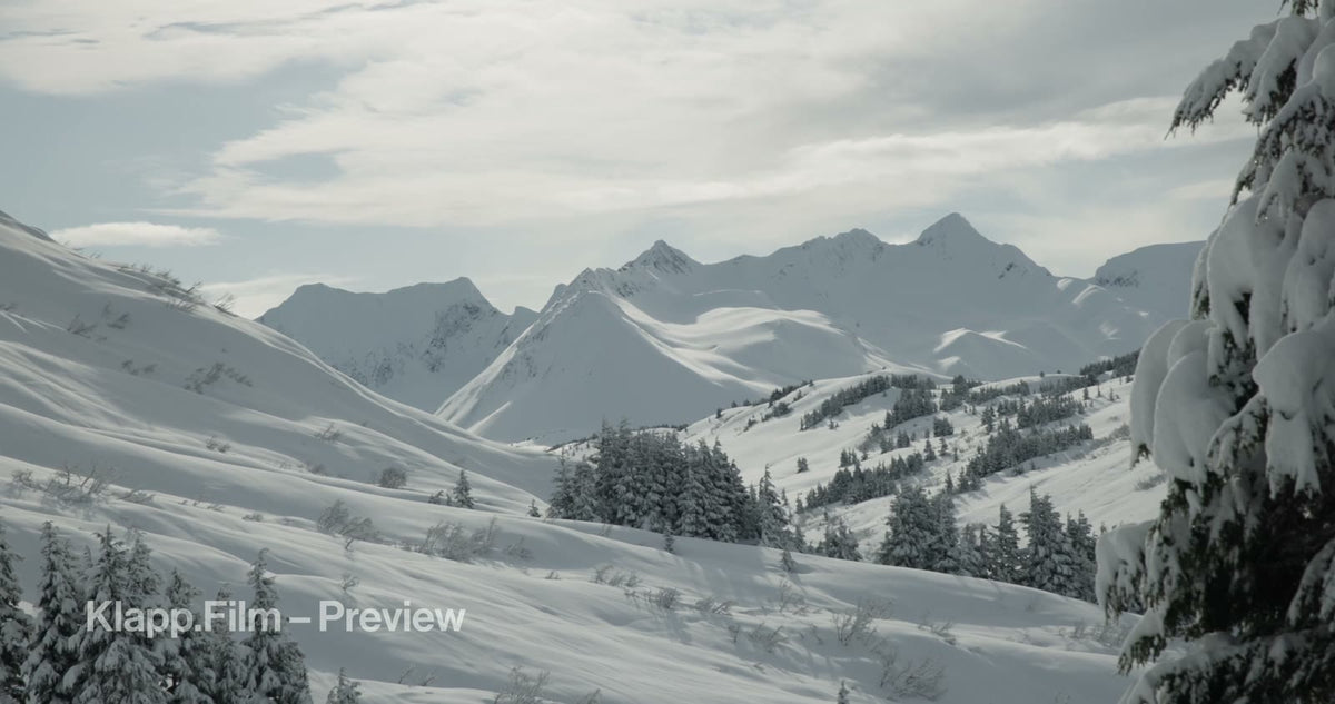KF-ALA-0051 stock footage thumbnail