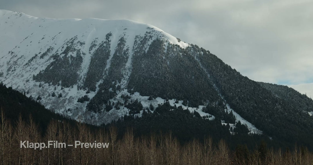 KF-ALA-0065 stock footage thumbnail