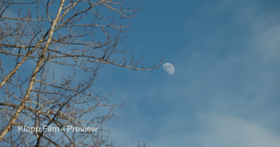 KF-ALA-0069 stock footage thumbnail
