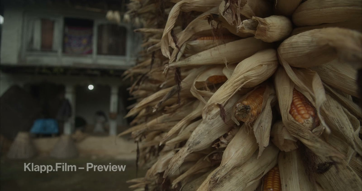 KF-EBC-0024 stock footage thumbnail
