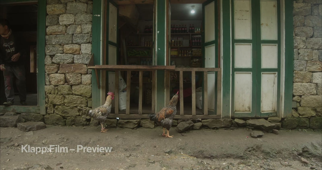 KF-EBC-0053 stock footage thumbnail