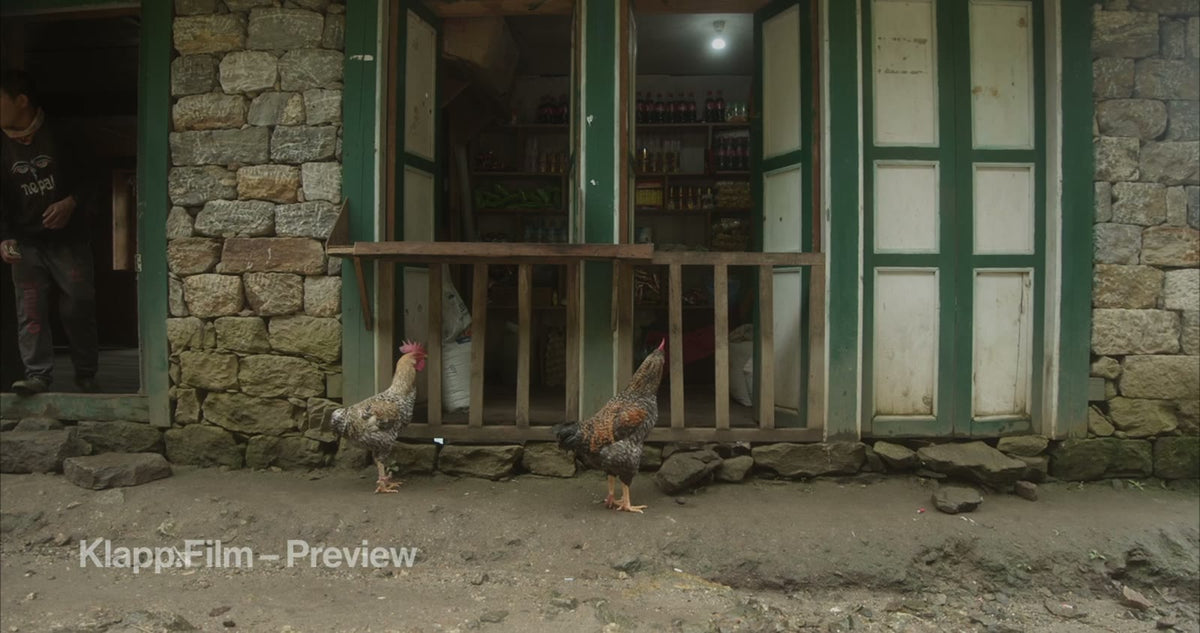 KF-EBC-0053 stock footage thumbnail