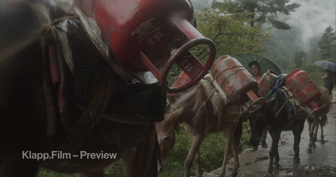KF-EBC-0059 stock footage thumbnail