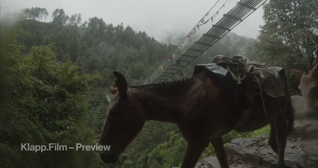 KF-EBC-0060 stock footage thumbnail