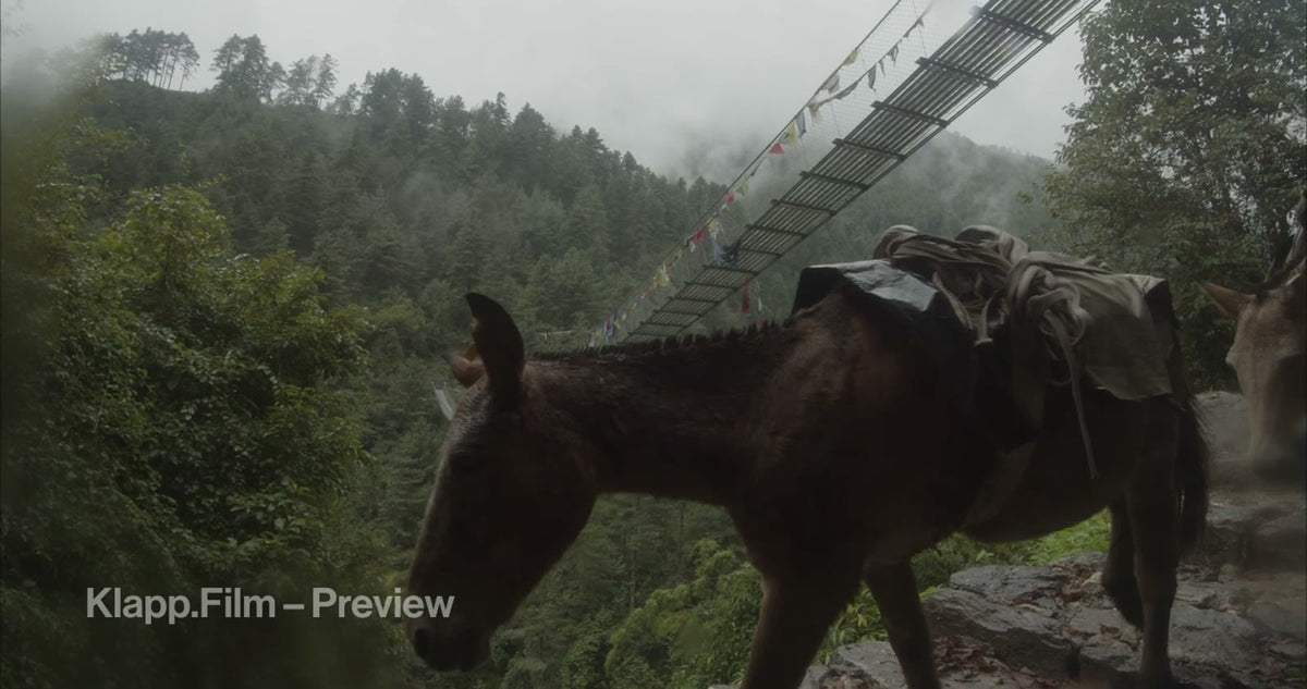 KF-EBC-0060 stock footage thumbnail