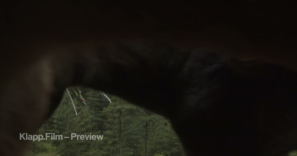 KF-EBC-0061 stock footage thumbnail