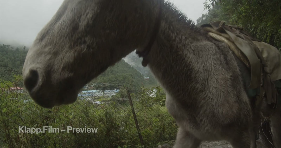 KF-EBC-0063 stock footage thumbnail