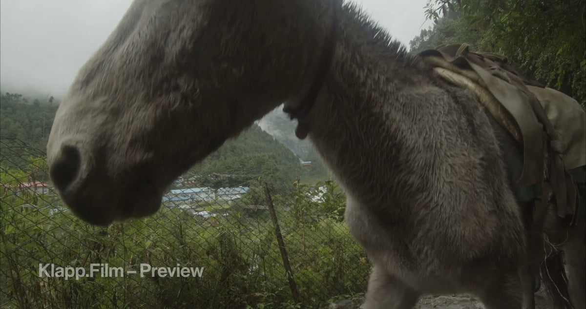 KF-EBC-0063 stock footage thumbnail
