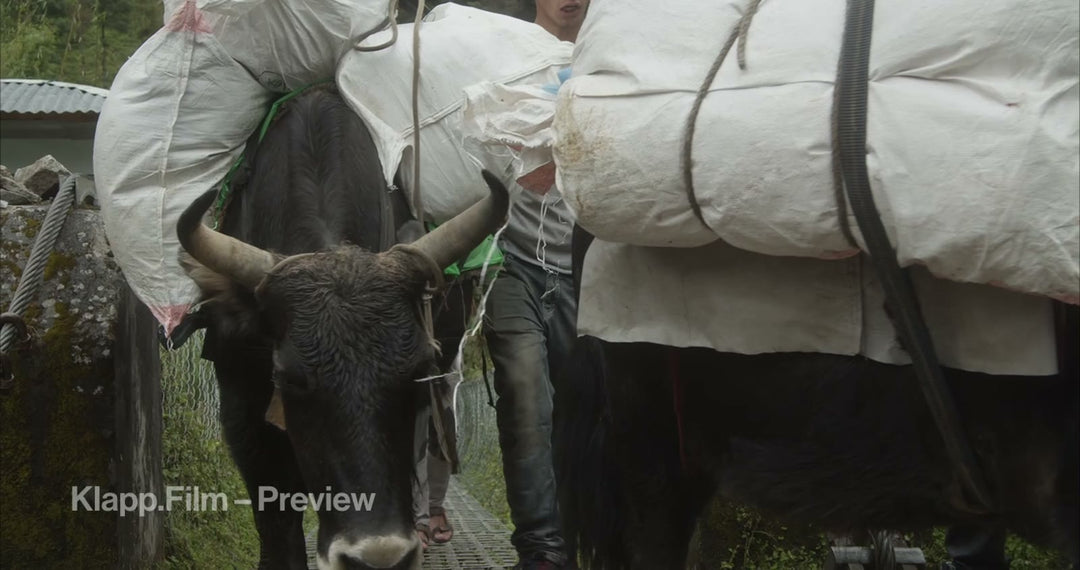 KF-EBC-0071 stock footage thumbnail