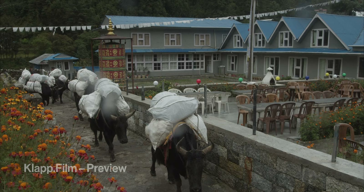 KF-EBC-0072 stock footage thumbnail