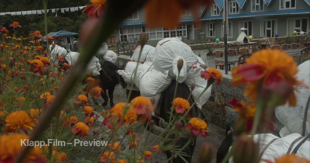 KF-EBC-0073 stock footage thumbnail
