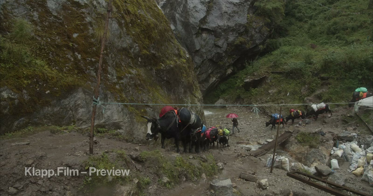 KF-EBC-0077 stock footage thumbnail
