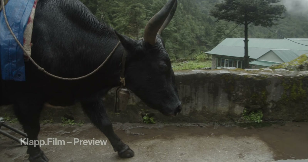 KF-EBC-0083 stock footage thumbnail