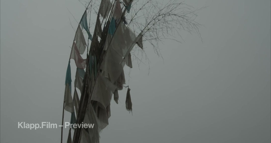 KF-EBC-0116 stock footage thumbnail