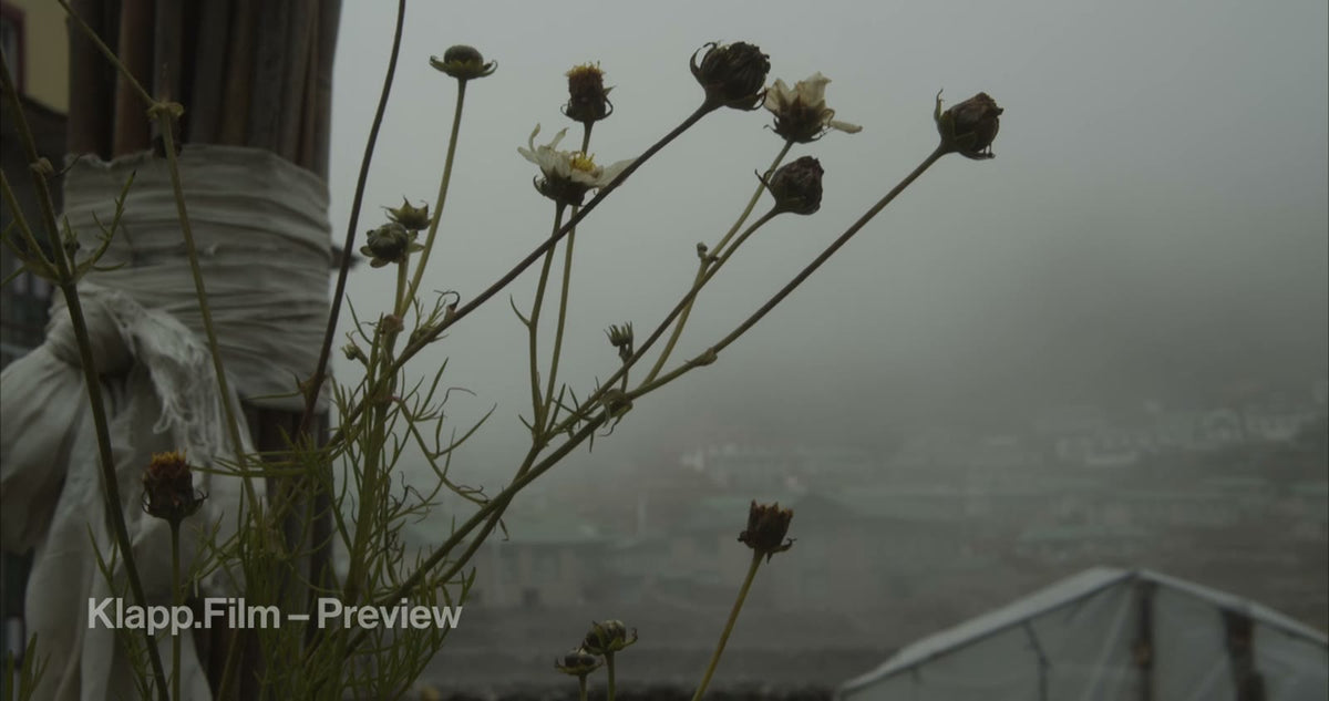 KF-EBC-0117 stock footage thumbnail