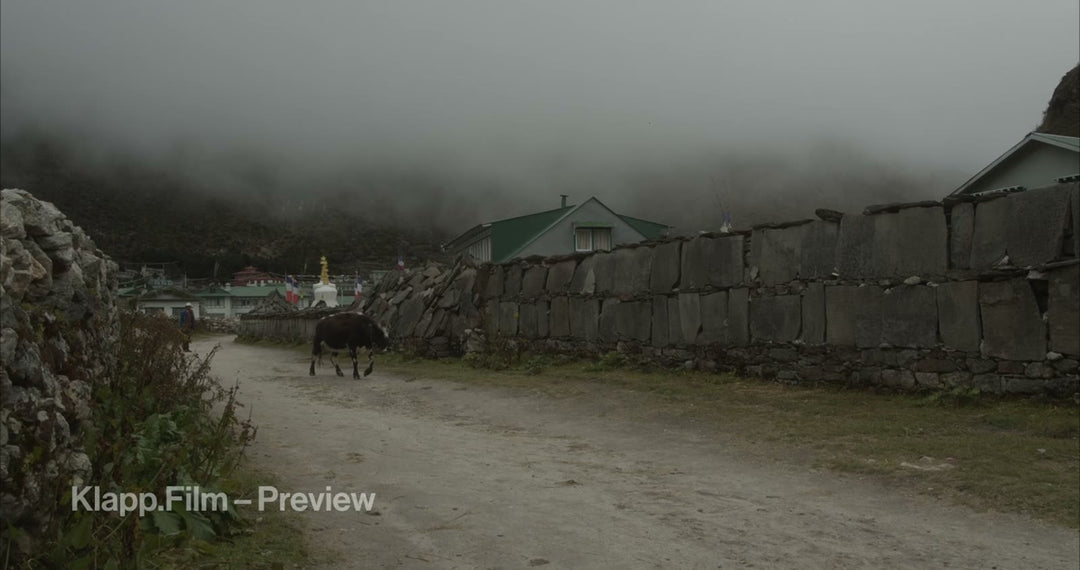 KF-EBC-0125 stock footage thumbnail