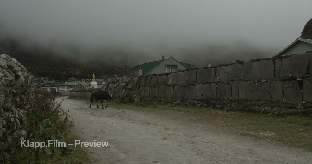 KF-EBC-0125 stock footage thumbnail