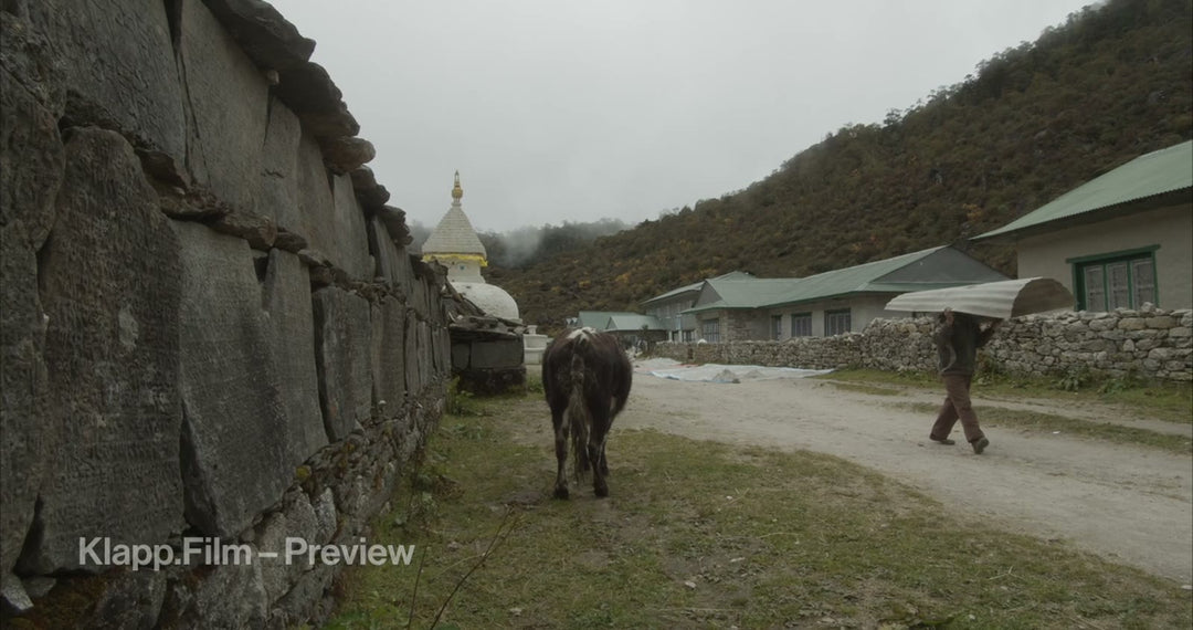 KF-EBC-0126 stock footage thumbnail