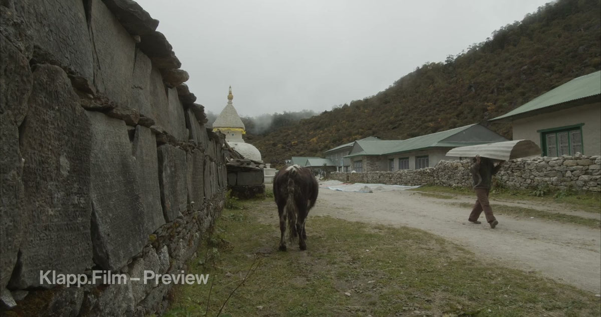 KF-EBC-0126 stock footage thumbnail