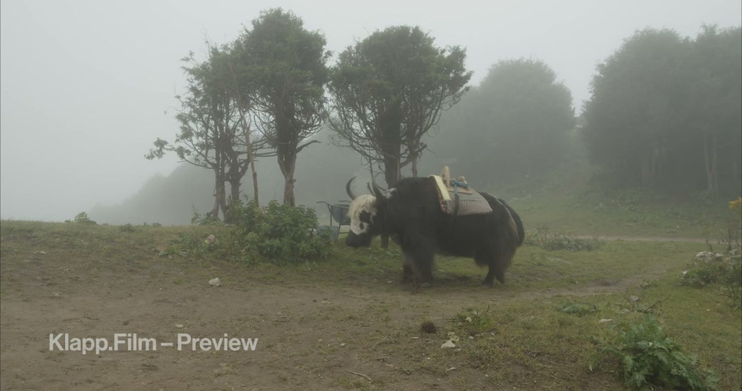 KF-EBC-0128 stock footage thumbnail