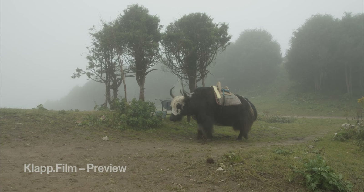KF-EBC-0128 stock footage thumbnail