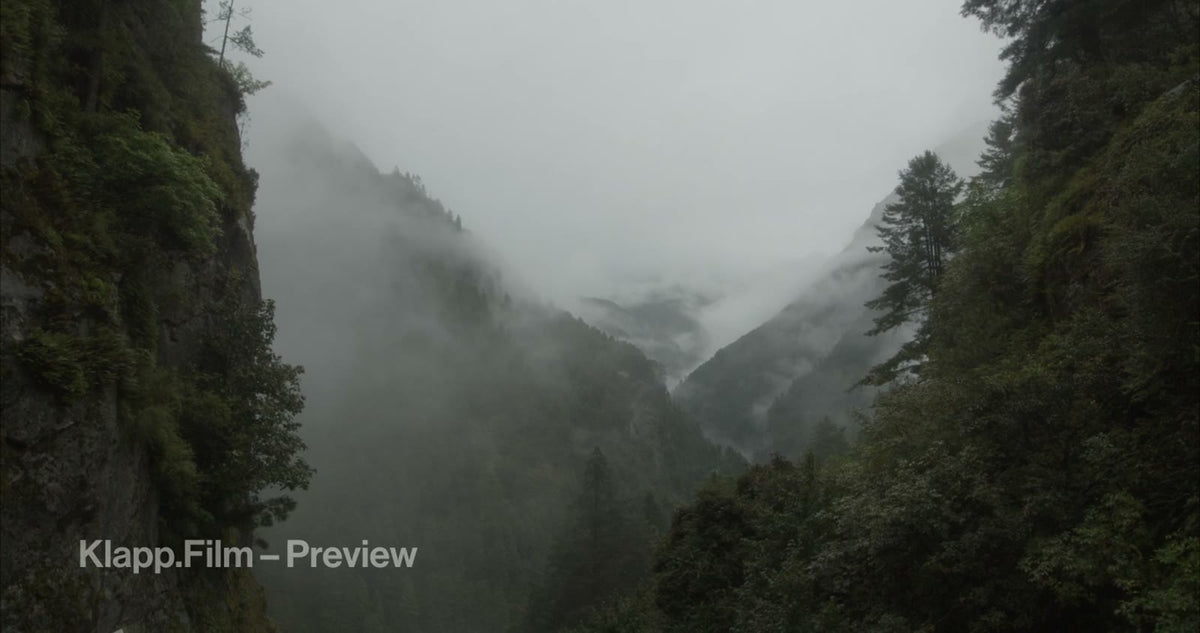 KF-EBC-0135 stock footage thumbnail
