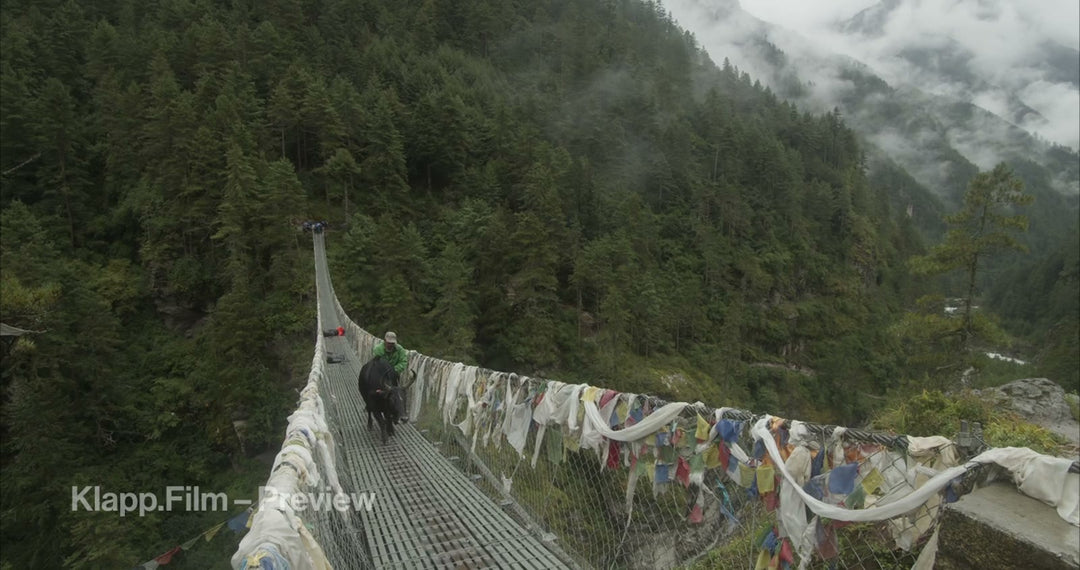 KF-EBC-0150 stock footage thumbnail