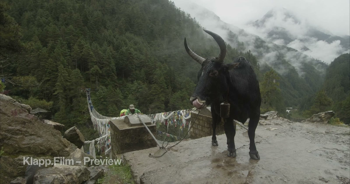 KF-EBC-0152 stock footage thumbnail