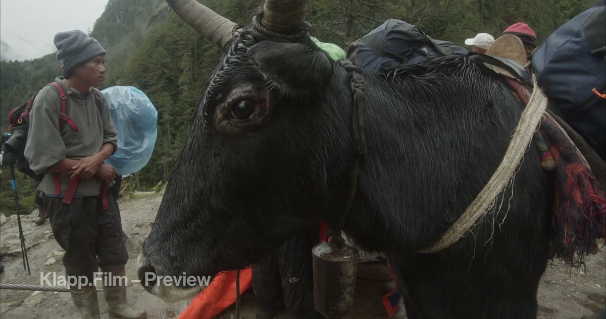 KF-EBC-0153 stock footage thumbnail
