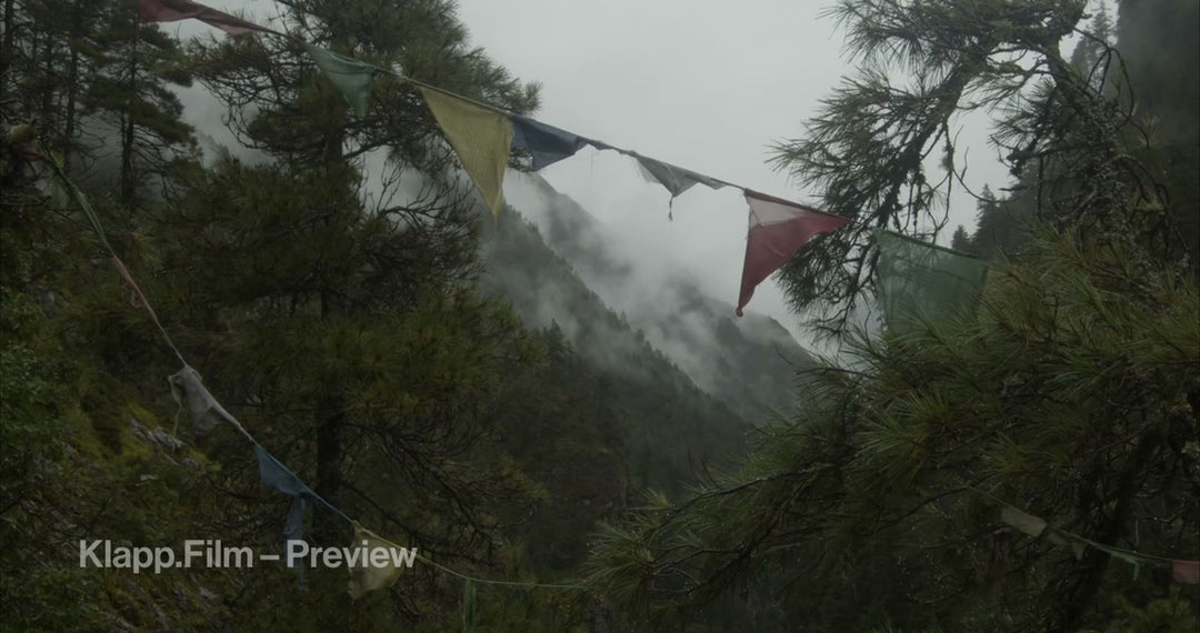 KF-EBC-0154 stock footage thumbnail