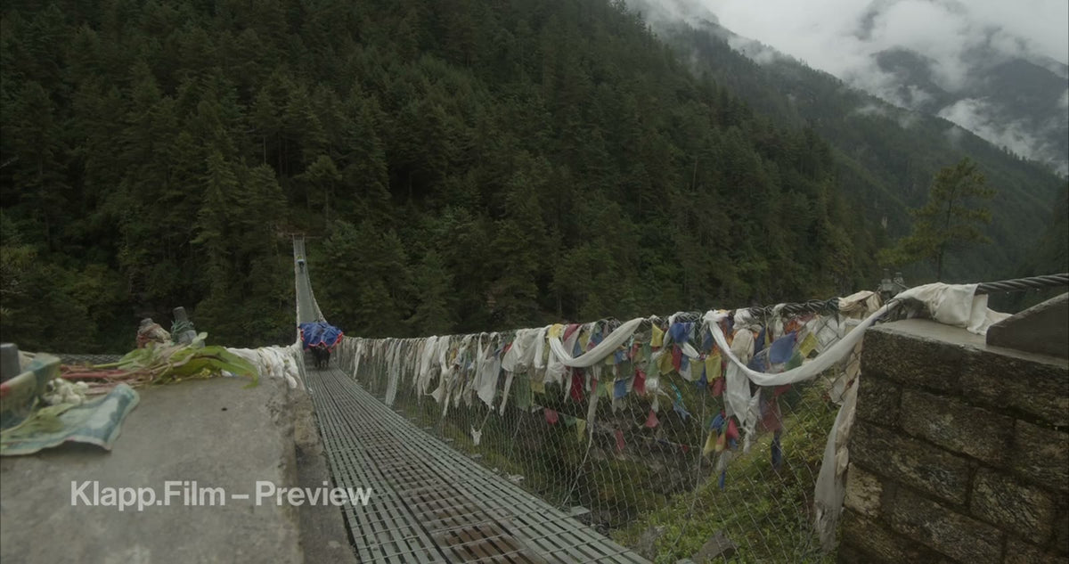 KF-EBC-0157 stock footage thumbnail