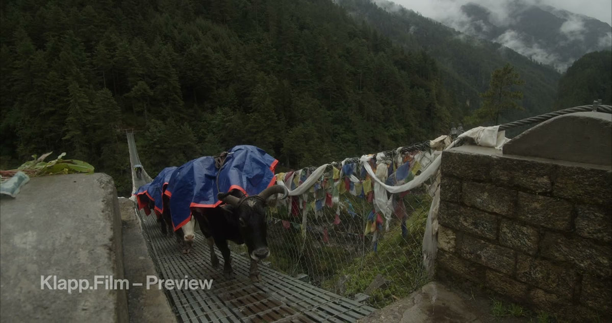 KF-EBC-0158 stock footage thumbnail