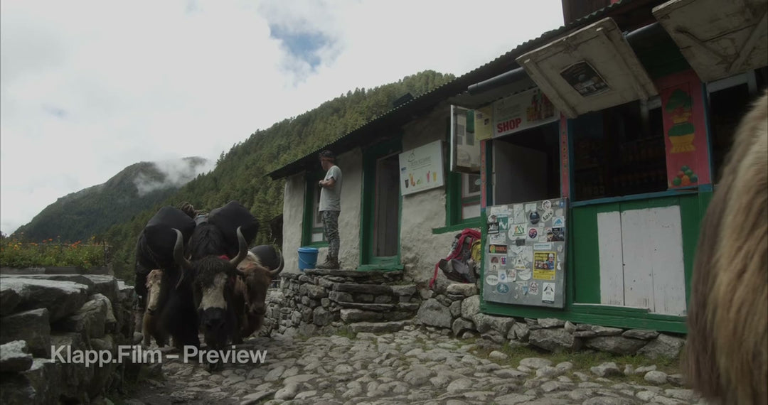 KF-EBC-0168 stock footage thumbnail