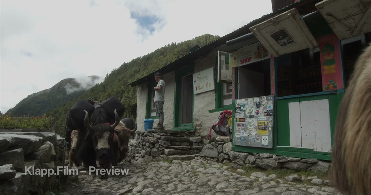 KF-EBC-0168 stock footage thumbnail