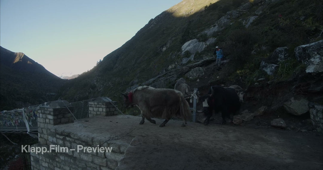 KF-EBC-0173 stock footage thumbnail