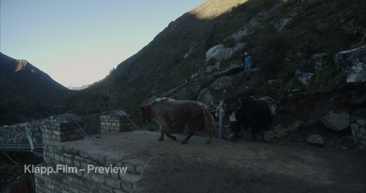KF-EBC-0173 stock footage thumbnail