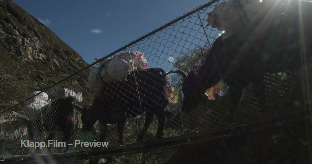 KF-EBC-0175 stock footage thumbnail