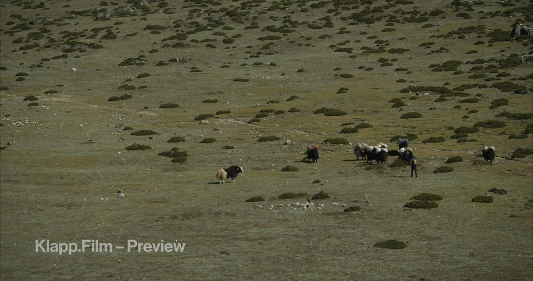 KF-EBC-0187 stock footage thumbnail