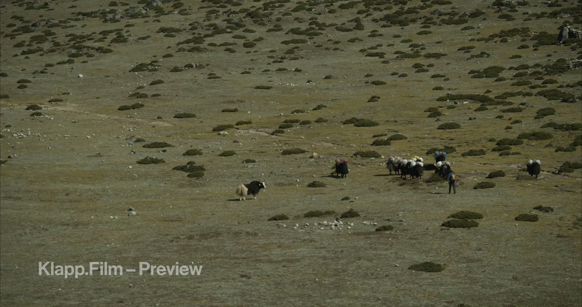 KF-EBC-0187 stock footage thumbnail