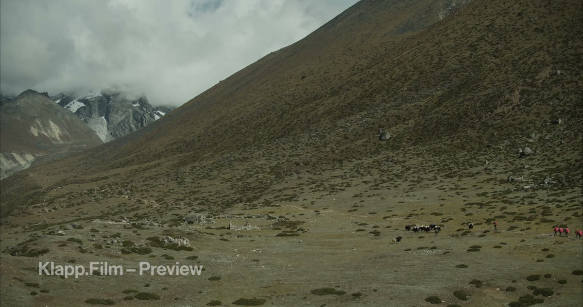 KF-EBC-0188 stock footage thumbnail