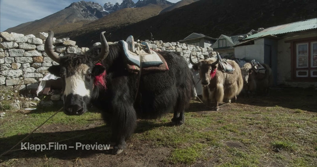KF-EBC-0201 stock footage thumbnail