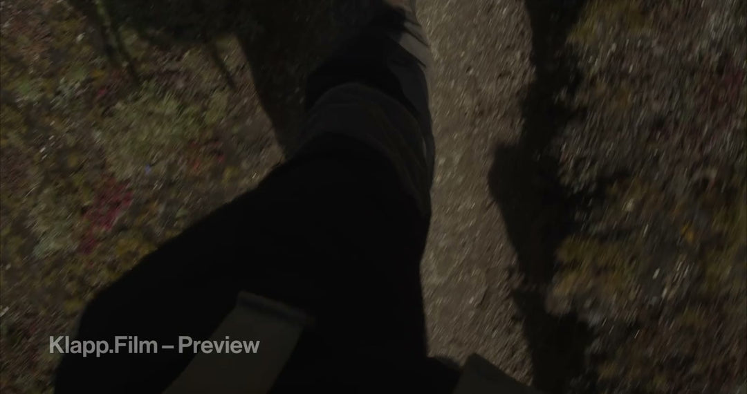 KF-EBC-0212 stock footage thumbnail