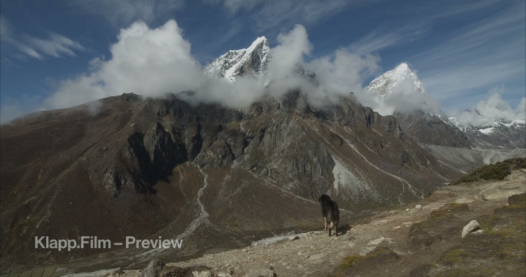 KF-EBC-0214 stock footage thumbnail