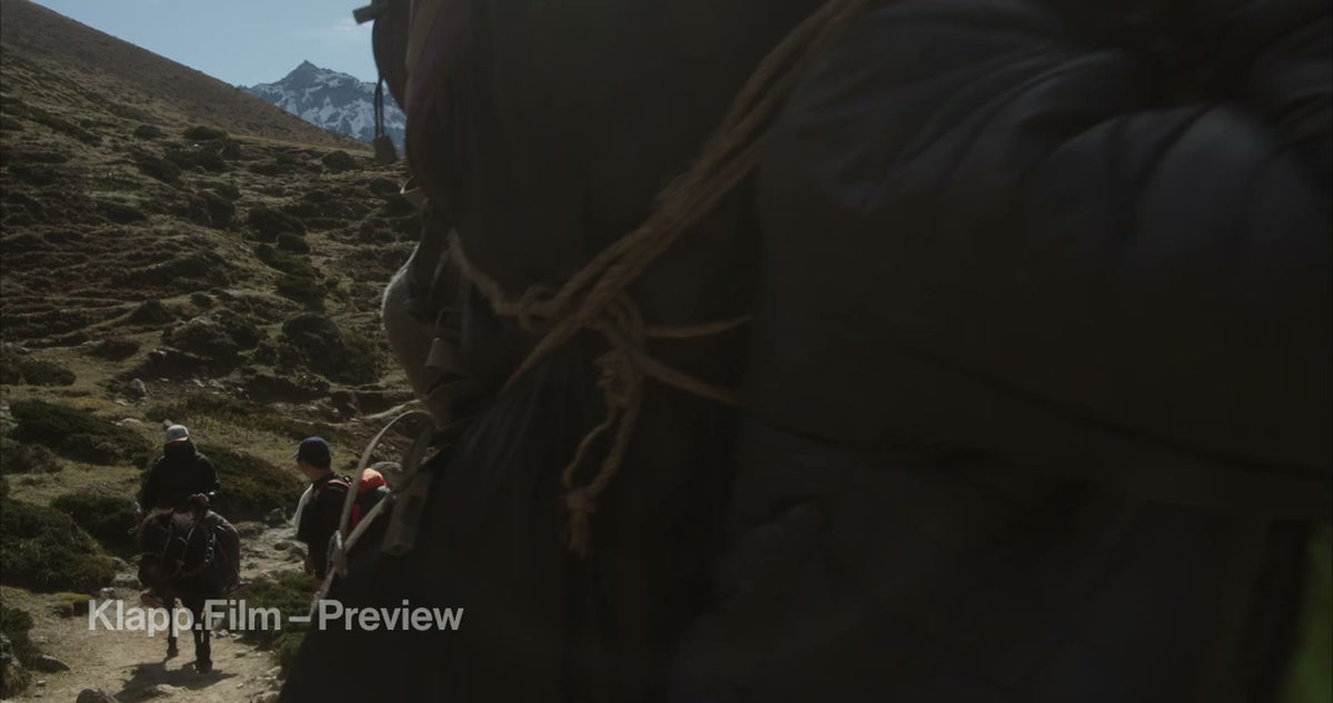 KF-EBC-0215 stock footage thumbnail