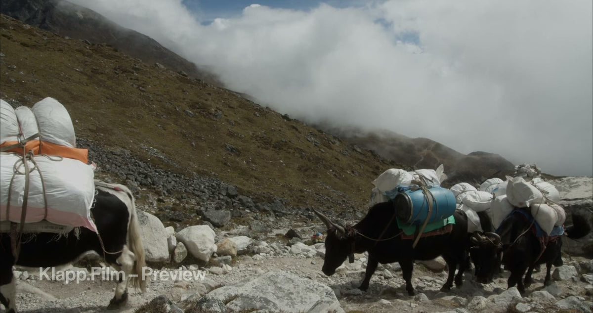 KF-EBC-0230 stock footage thumbnail