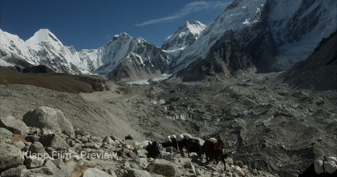 KF-EBC-0250 stock footage thumbnail