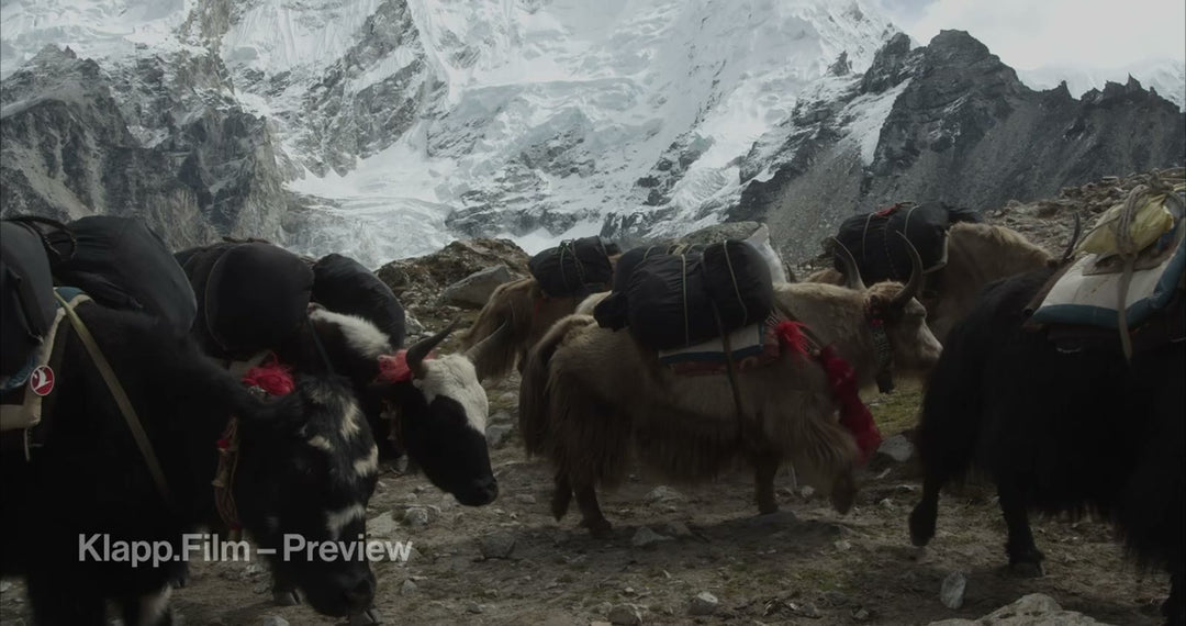 KF-EBC-0293 stock footage thumbnail