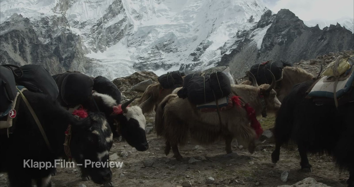 KF-EBC-0293 stock footage thumbnail