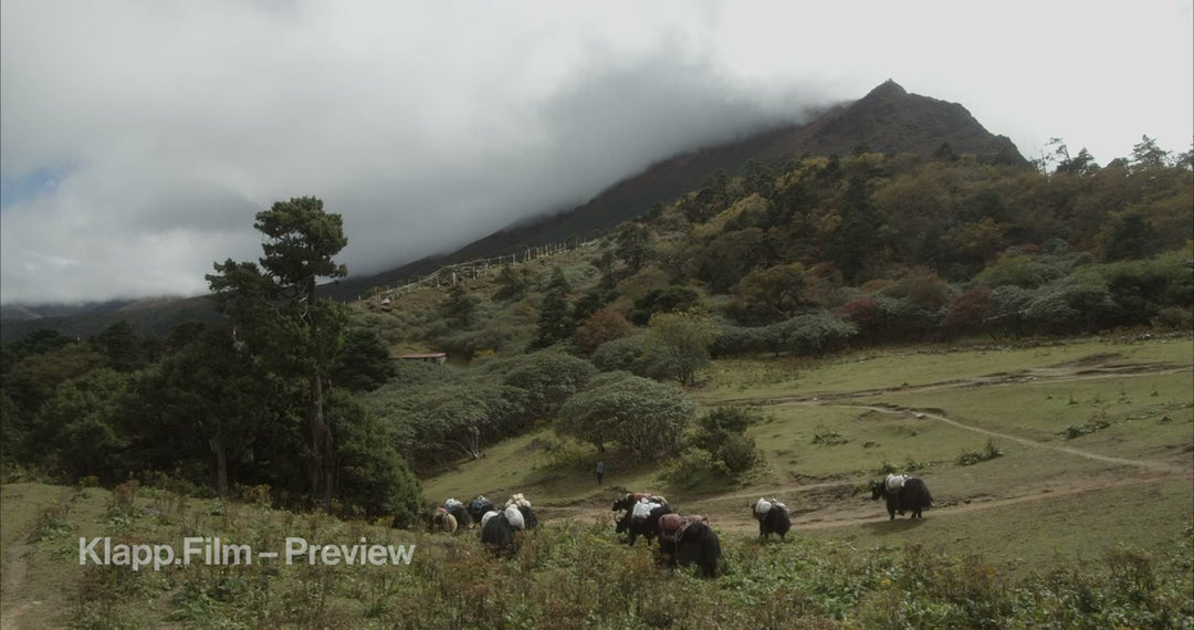 KF-EBC-0313 stock footage thumbnail